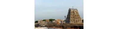 60. திருவல்லிக்கேணி (சென்னை)